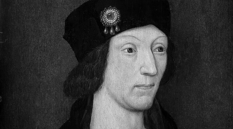 The Essential Guide to King Henry VII