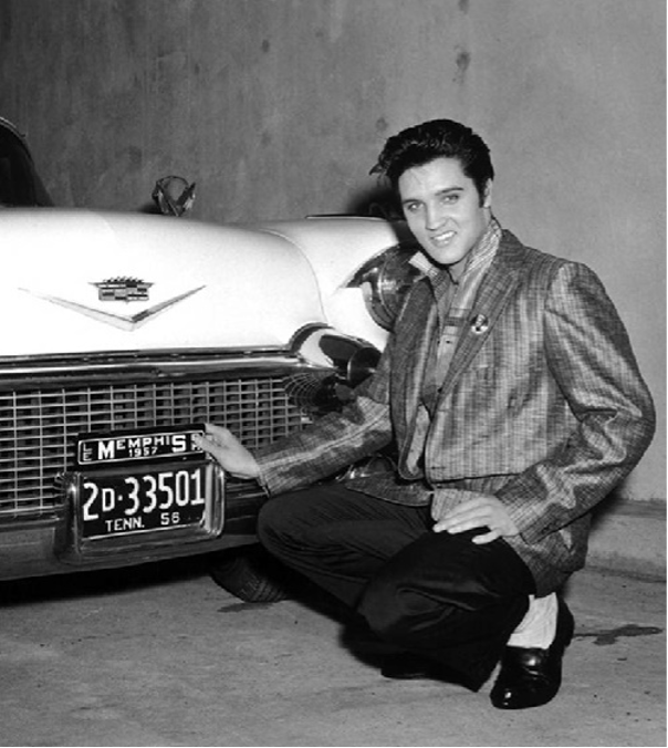 Cars Elvis (N8480) : : Giochi e giocattoli