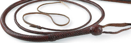 Indiana Jones bullwhip to make up to $91,000