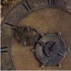 Vintage Oxford clock chimes at £37k