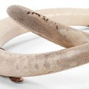 Female African elephant tusks leading at $30,000 in estate auction