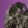 Argentinian meteorite strikes the auction block at Bonhams, today