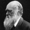 Darwin's Origin of the Species sells for £100k