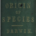 First edition Charles Darwin book proves its $62,500 worth in New York