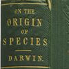$160k first edition of On the Origin of Species for sale