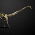 First UK dinosaur auction to see $959,000 at Summers Place