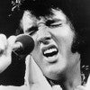 Elvis Presley memorabilia: why the King is still very much alive