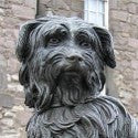 Greyfriars Bobby plaster cast to see $1,600 at UK auction?