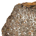 'Rarest and most interesting meteorite in the UK' will star at Rob Elliott's auction