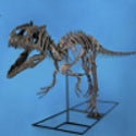 Collecting with dinosaurs... 'Fighting' skeletons battle to $2.75m at Heritage