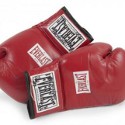 Holyfield vs Tyson gloves bring 135% increase on estimate