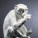 Meissen monkey figure up 104% on estimate at Sotheby's