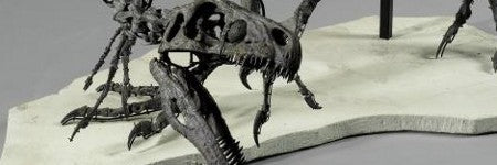 Ornitholestes dinosaur skeleton to be offered at $613,000