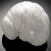 Vast brain-shaped pearl to sell for $400k