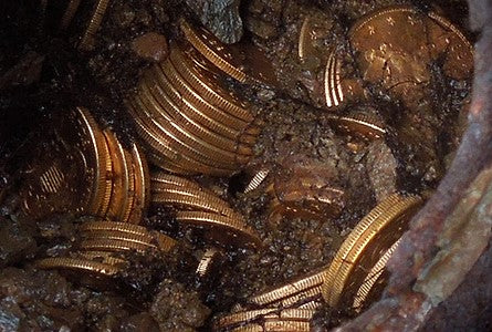 Coin cleaning mistakes that destroy value: what never to do
