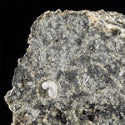 South American meteorite could hit $36,000