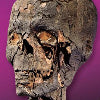 The Story of... the $35k Mummy's Head