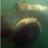 Salvaged from the depths... a 1925 Bugatti Brescia