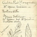 Edison's handwritten lab notes to see $120,000?