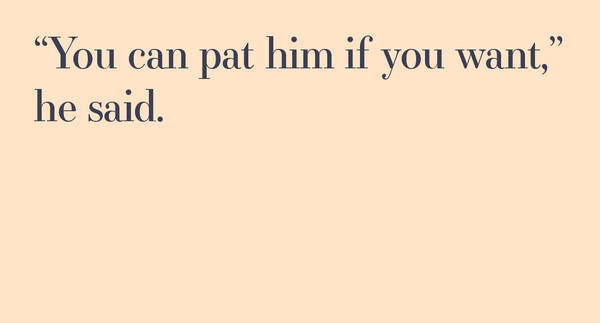 Racehorse historian’s secret collection for sale now