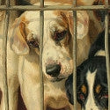 Bonhams 'Dogs in Show' art auction stars Trood's '$80,000' Hounds in a Kennel
