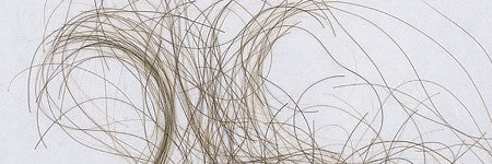 Lock of Beethoven's hair to star in March 11 auction