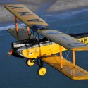 Out of Africa Gipsy Moth plane soars to $270,000 in Paris