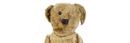 Bristol Airport teddy bear realises $3,500