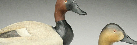 Ward Brothers canvasback ducks sell for $31,000