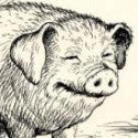 Charlotte's Web catches a World Record price for its classic illustrations