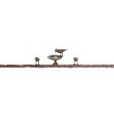 Diego Giacometti's Console aux Oiseaux will headline November 18 sale