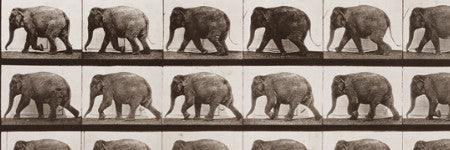 Eadweard Muybridge photo folio sells for $92,000