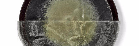 Alexander Fleming’s Penicillin archive makes $15,500