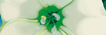 Georgia O'Keeffe's Jimson Weed raises female artist auction record