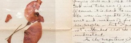 WWI love letter with poppy makes $10,000