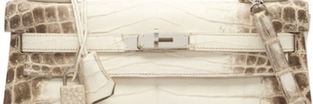 Hermes Himalayan Kelly bag makes $125,000