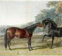 Horsing around... Rare collection of racing prints canters into Newbury, UK