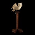 Ivory parrot okimono auctions with 273% increase