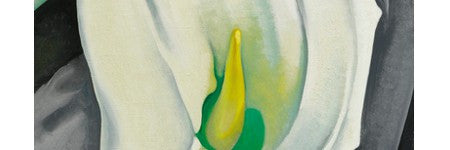 Georgia O'Keeffe's White Calla Lily makes $8.9m