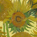 Vincent Van Gogh's Sunflowers to show together in London