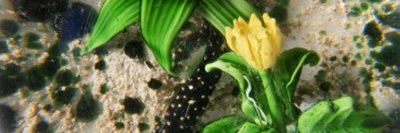 Pantin Magnum salamander paperweight offered for $50,000