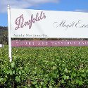 Penfolds Australian wine continues overseas success on home soil