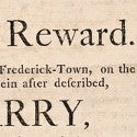Maryland runaway slave broadside to auction for $18,000?