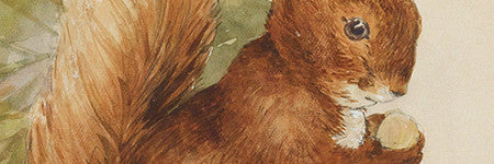 Beatrix Potter Squirrel Nutkin study will auction at Swann