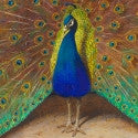 Thorburn's $195,000 'Peacocks' ready to put on good display at Bonhams