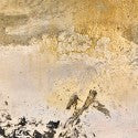 Zao Wou Ki's 16.03.88 hammers for $1m in Hong Kong auction