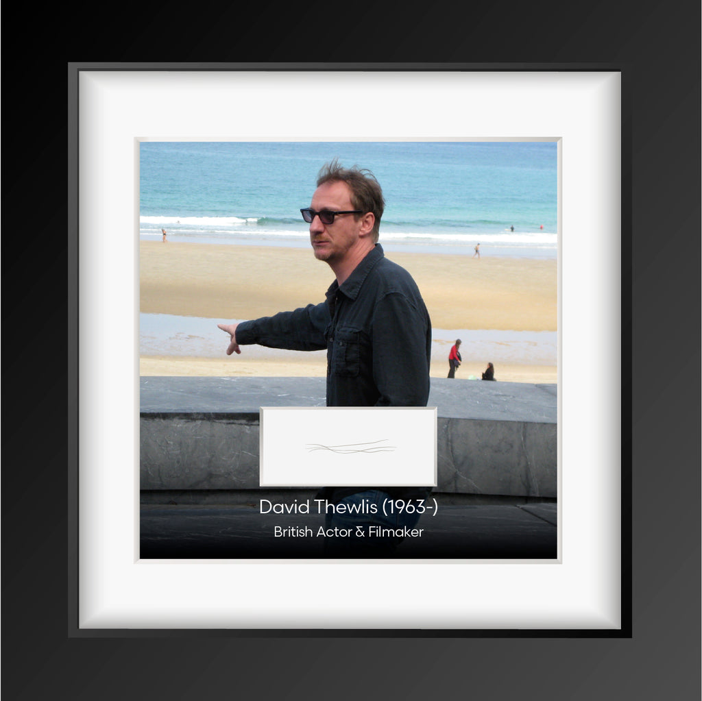 Harry Potter's Professor Lupin - David Thewlis Authentic Strands of Hair