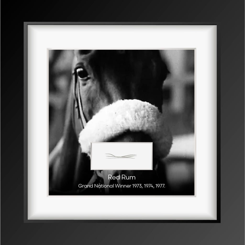 Strands of racehorse Red Rum's tail hair - the horse every Briton knew.