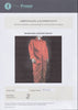 A Paul Fraser Collectibles certificate of authenticity for the item.