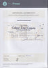 A Paul Fraser Collectibles certificate of authenticity for the item.